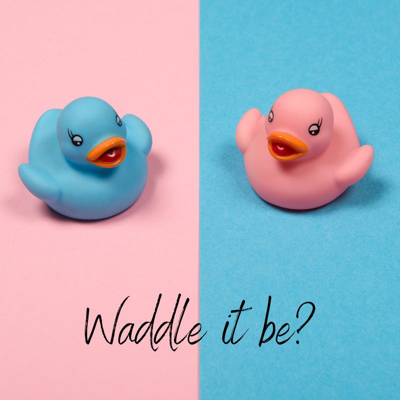 Waddle it be