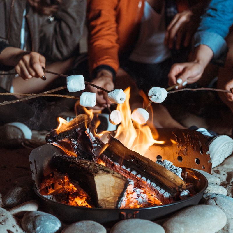 roasting marshmallows on bonfire